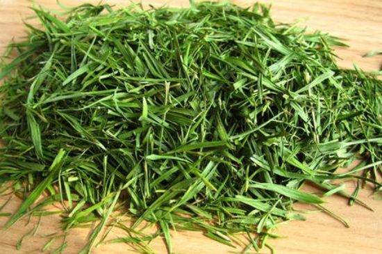 哪類人不適合喝石竹茶，石竹茶的功效與禁忌