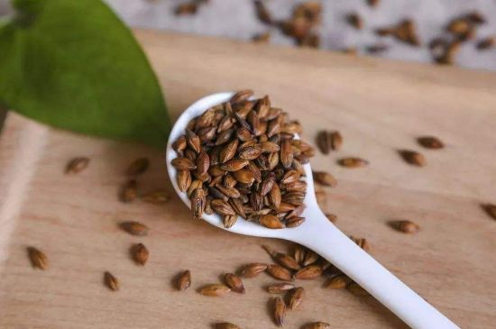 大麥茶上火嗎，喝大麥茶會(huì)不會(huì)上火？