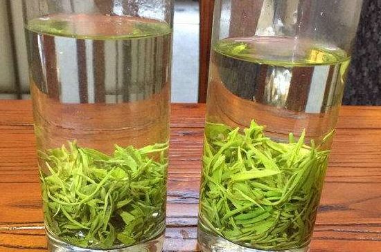 黃金茶的功效及禁忌癥，黃金茶有什么副作用嗎？