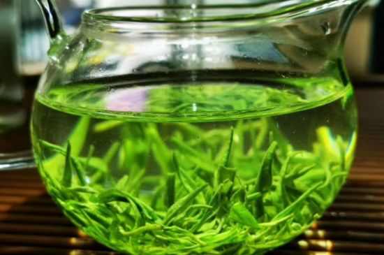 喝黃金茶禁忌，什么人不能喝黃金芽茶？