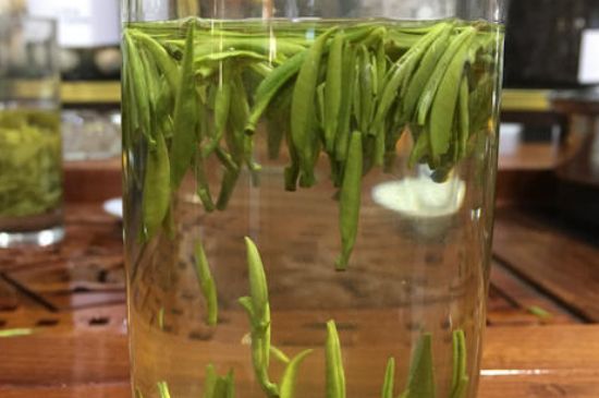 雀舌茶的副作用，雀舌茶什么人不能喝？