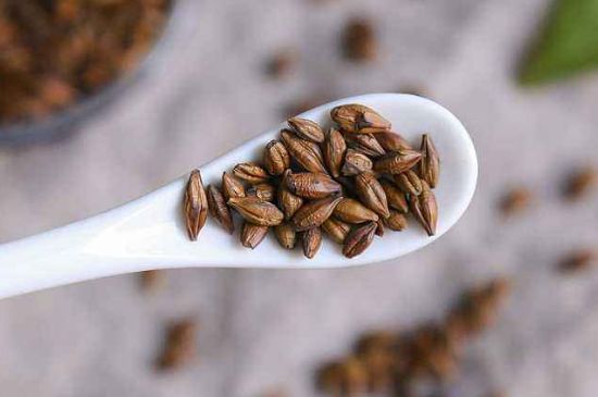 飯店的大麥茶為什么那么香，自己泡的蕎麥茶沒飯店香