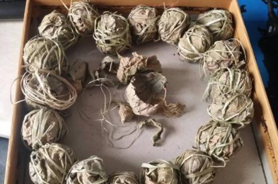 鷓鴣茶用拆開泡嗎，鷓鴣茶要解開繩子泡嗎