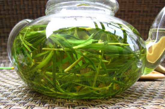 竹葉茶的禁忌，竹葉泡茶的功效禁忌