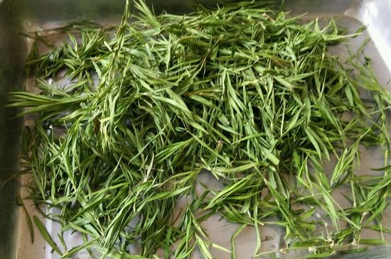 哪類人不適合喝石竹茶，石竹茶的功效與禁忌