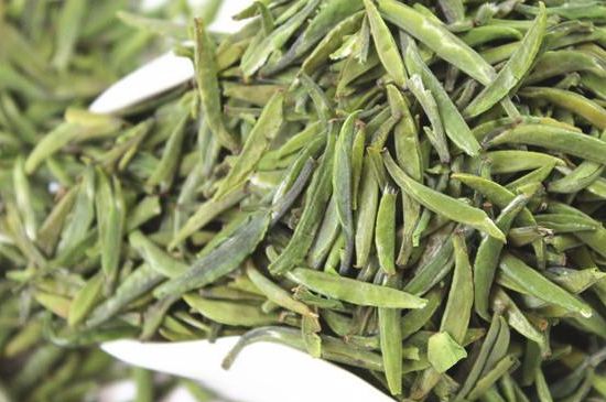 雀舌茶什么人不能喝，雀舌茶的功效與禁忌