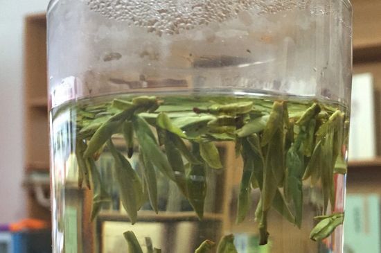 煮茶器能煮龍井嗎，龍井茶能不能用煮茶器圖