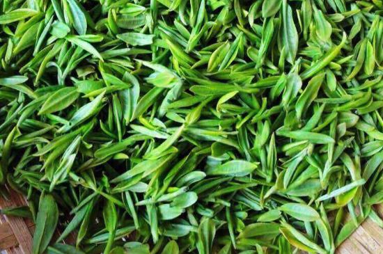 云霧綠茶的功效及禁忌，哪些人不適合喝云霧茶