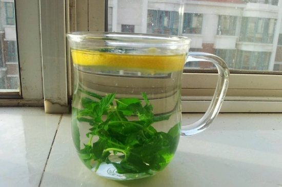 薄荷茶的功效與作用，喝薄荷茶有什么好處？