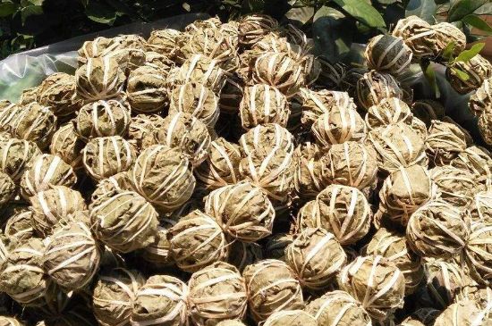 鷓鴣茶的禁忌，海南鷓鴣茶副作用