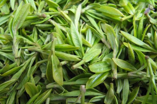 世界最貴的茶葉排行榜，十大最貴的茶