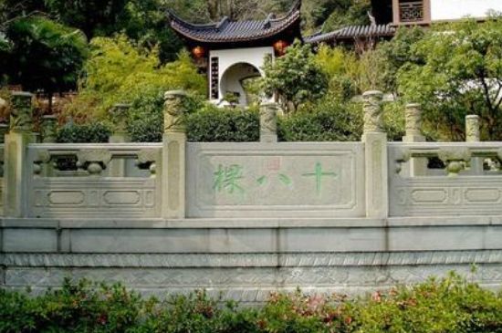 世界最貴的茶葉排行榜，十大最貴的茶