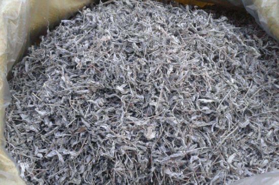 怎樣辨別莓茶發(fā)霉了，莓茶發(fā)霉和白霜的區(qū)別