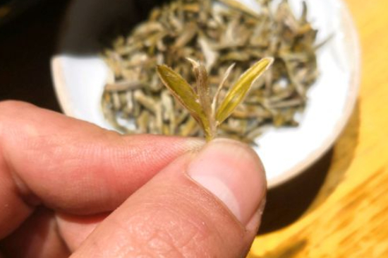 六大茶類哪種適合長期存放，日常如何保存方法一覽？