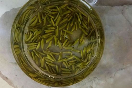 茶葉在哪里買比較好，哪里能買到好的茶葉