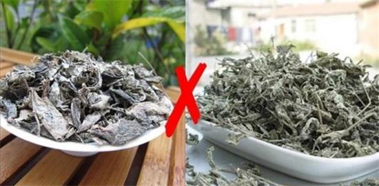 張家界茅巖莓茶與藤茶是同一種茶嗎，藤茶跟莓茶一不一樣？