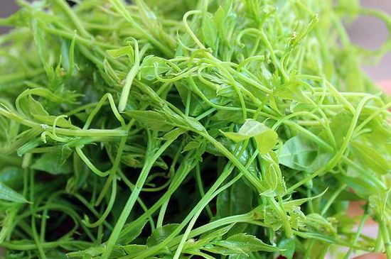 茅巖莓茶別名是什么，莓茶別名叫藤茶嗎？