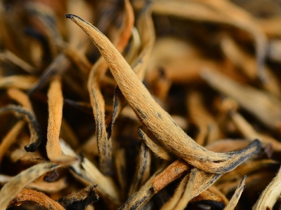 怎么知道什么茶葉適合自己，怎么判斷自己適合喝什么茶？