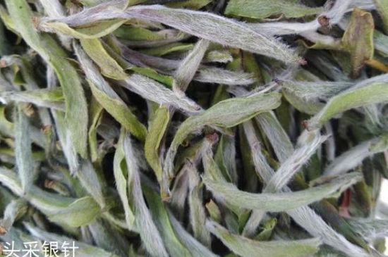 春茶季怎么辨別白毫銀針的好壞，好的白毫銀針如何選購？