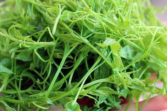 茅巖莓茶保質(zhì)期有多久，張家界莓茶存放時(shí)間長了還能喝嗎？