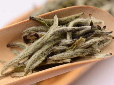 白毫銀針放幾年最好，白毫銀針什么年份最好？