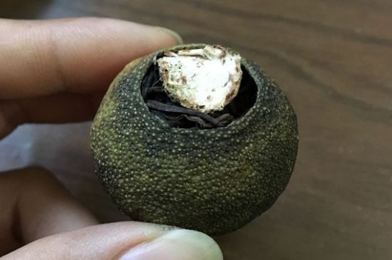 怎么知道小青柑是真的假的圖片，如何區(qū)分真假新會小青柑