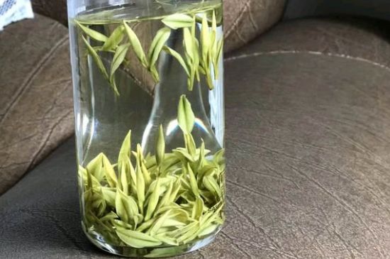 安吉白茶夏天怎么保存，安吉白茶能冷凍儲(chǔ)存嗎？