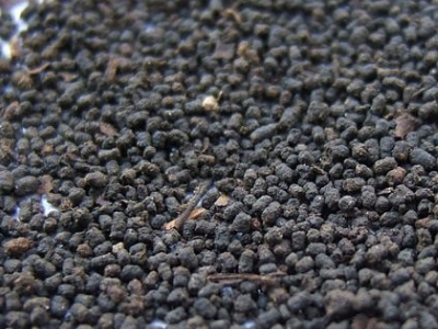 圓形顆粒狀茶是什么茶，像飼料一樣一粒粒的是什么茶？