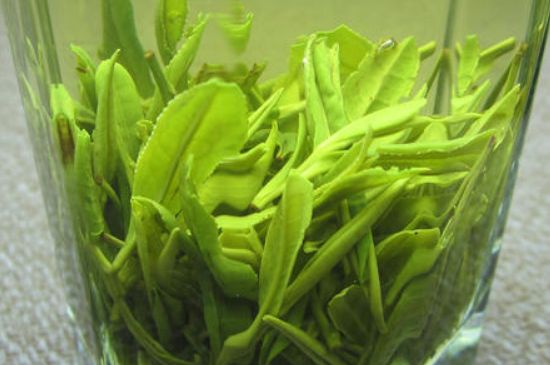 哪種茶葉可以放冰箱，哪些茶不能放冰箱？