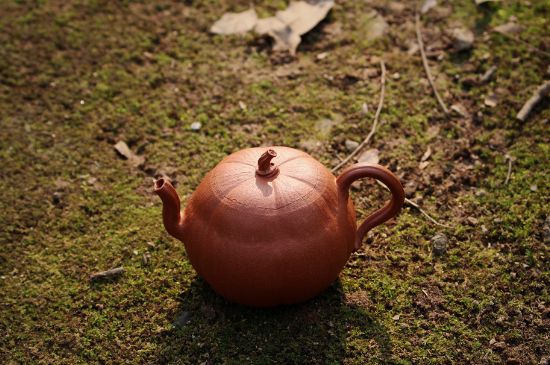 紫砂壺泡什么茶最佳，紫砂壺一般泡什么茶？