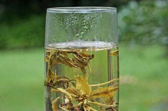 茉莉龍珠什么人不能喝，茉莉龍珠茶什么體質(zhì)不能喝？