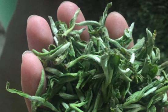 茉莉茶如何制作曬干，自制茉莉茶的做法