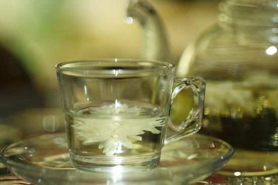 菊花茶天天喝行嗎，每天喝菊花泡茶喝好嗎？