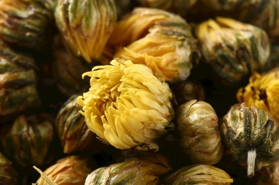 蒲公英搭配大全，蒲公英泡水喝的8種搭配