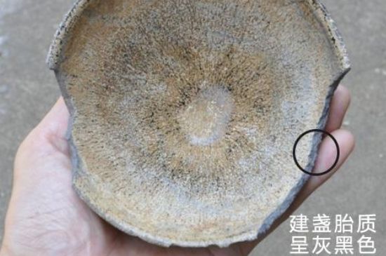 假建盞的特點(diǎn)，真假建盞區(qū)分帶圖