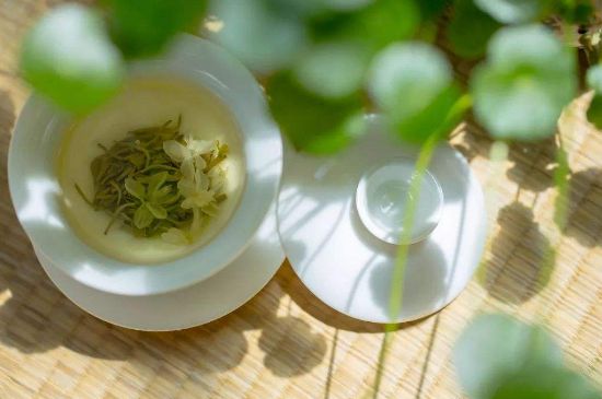 茉莉花茶6種人不要喝，什么體質(zhì)不適合喝茉莉花茶？