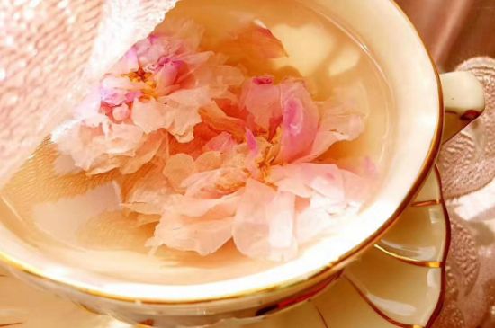 玫瑰花茶一周喝幾次，玫瑰花茶可以天天喝嗎？