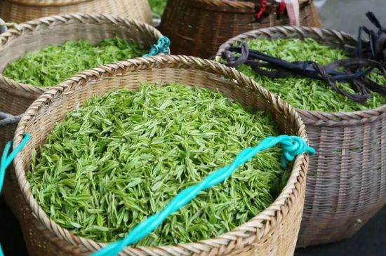 茶葉怎么炒制才香，怎樣炒茶葉更香？