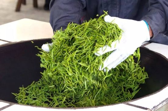 自家炒茶葉怎么炒，自己炒茶葉的步驟