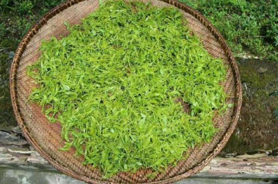 茅巖莓茶加工工藝，莓茶的工藝制作過程