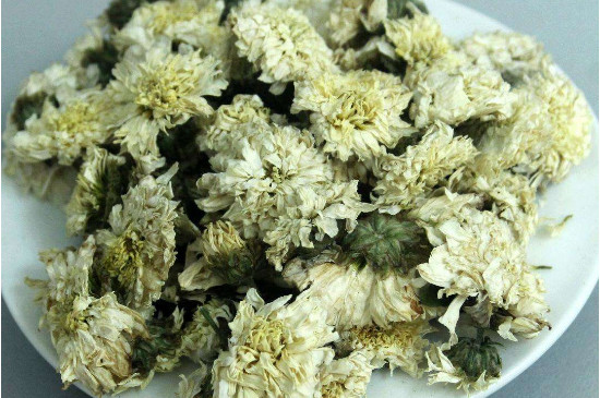 菊花茶買小朵還是大朵，泡茶用的小菊花和大菊花哪個好