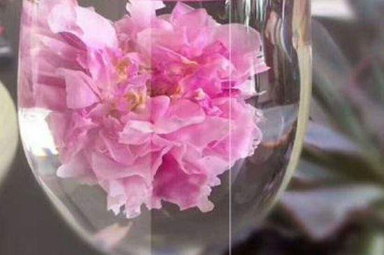 干玫瑰花泡水放幾顆，玫瑰花泡水一次放幾朵？