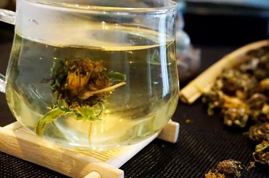 蒲公英最佳搭配，蒲公英茶和什么搭配泡水最佳