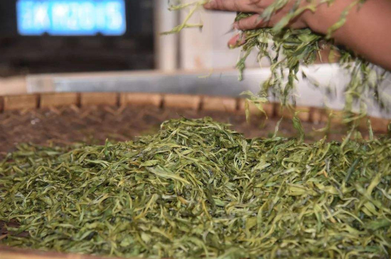 炒青綠茶與綠茶的區(qū)別，烘青和炒青哪個(gè)好喝？