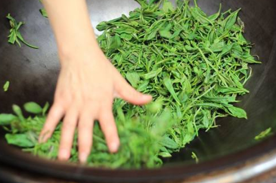 炒青綠茶與綠茶的區(qū)別，烘青和炒青哪個(gè)好喝？