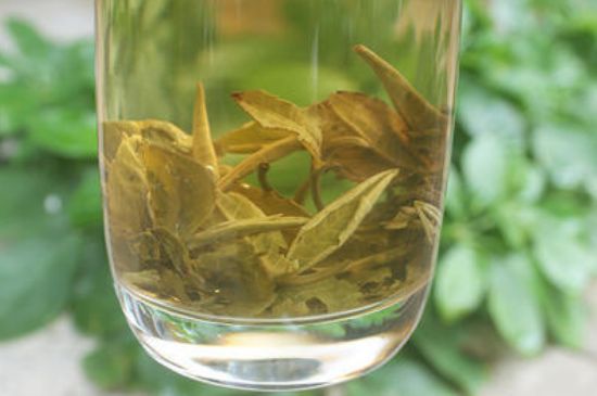 茉莉龍珠泡開后為什么都是梗，茉莉龍珠泡開后什么樣？