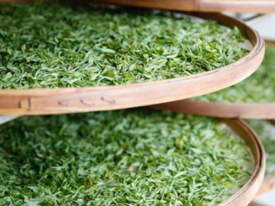 云南八大茶系分別是哪些，都是什么名字