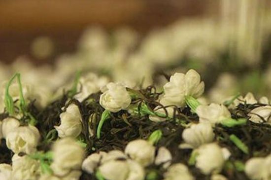 蒸茶器可以蒸花茶嗎，蒸茶器能用來蒸茉莉花茶嗎？