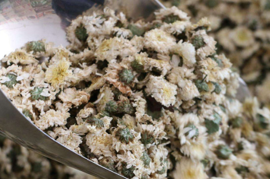 菊花茶買小朵還是大朵，泡茶用的小菊花和大菊花哪個好