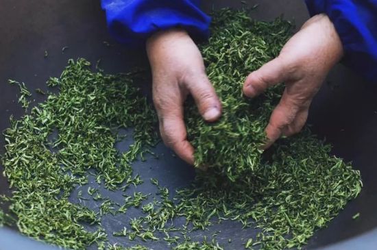 自家炒茶葉怎么炒，自己炒茶葉的步驟